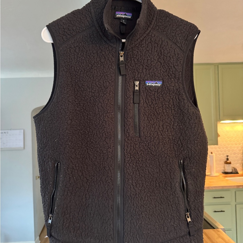Patagonia Retro Pile Vest